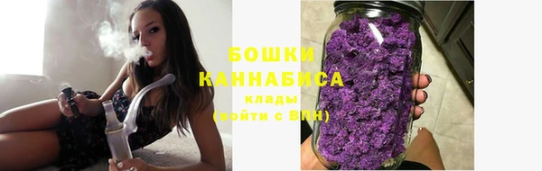прущие грибы Абдулино