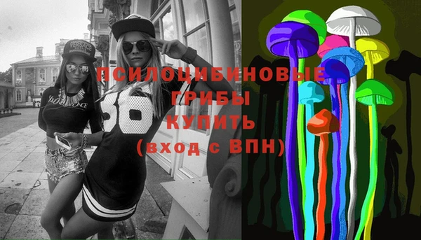прущие грибы Абдулино