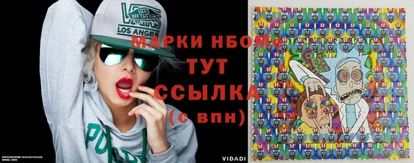 шишки Осташков