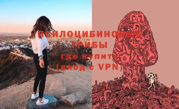 прущие грибы Абдулино