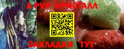 крисы Кингисепп