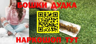крисы Кингисепп