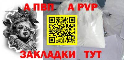 крисы Кингисепп
