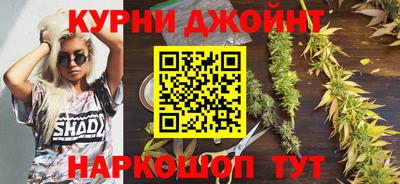 крисы Кингисепп