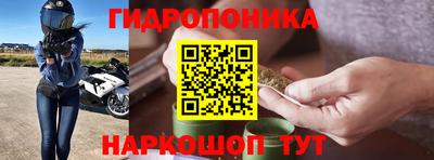 крисы Кингисепп