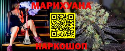 крисы Кингисепп