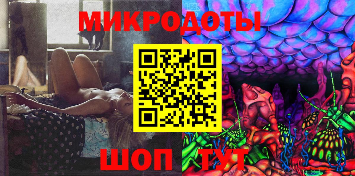 Псилоцибиновые грибы мицелий Новоалтайск