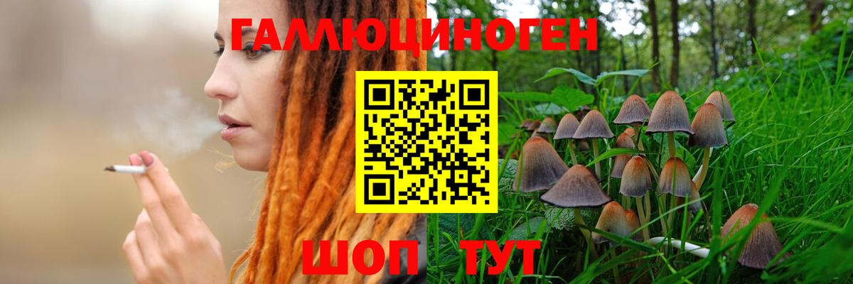 Новоалтайск  Галлюциногенные грибы Magic Shrooms  Вход с VPN 